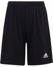 Spodenki adidas Junior Entrada 22