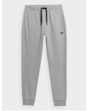 SPODNIE 4F JOGGERY
