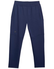 SPODNIE MĘSKIE 4F (4FWAW25TTROM1194-31S)