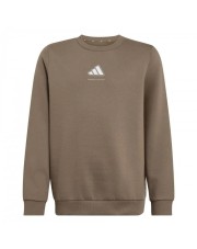 BLUZA  adidas junior B FL SWT (KX6158)